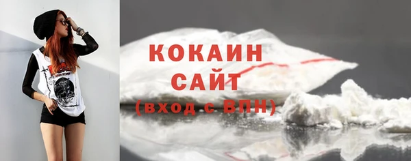 гашик Коряжма