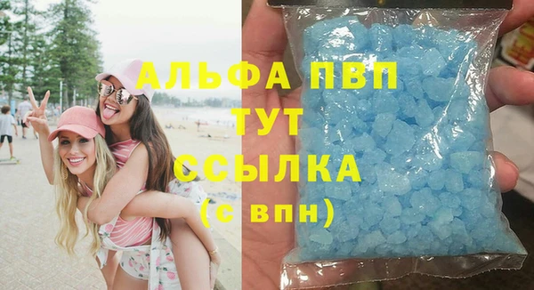 амф Корсаков