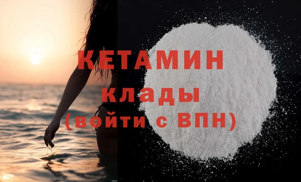 гашик Коряжма