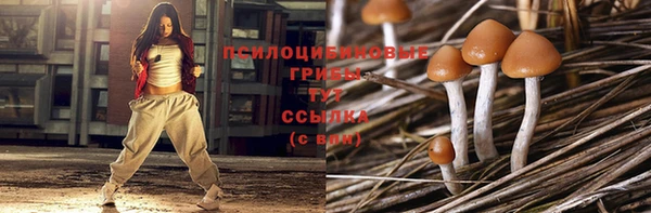 гашик Коряжма