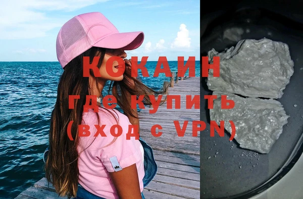 гашик Коряжма